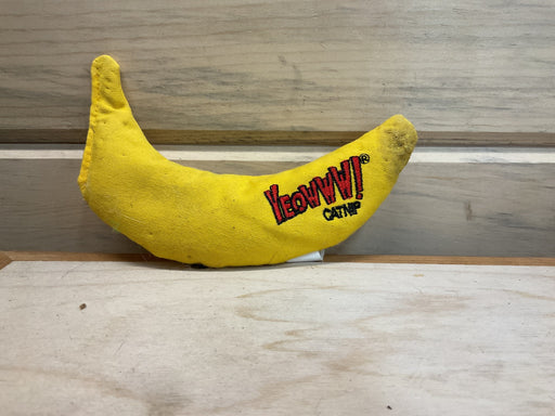 Catnip Toy