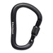 Black Diamond ROCKLOCK SCREWGATE CARABINER - Next Adventure