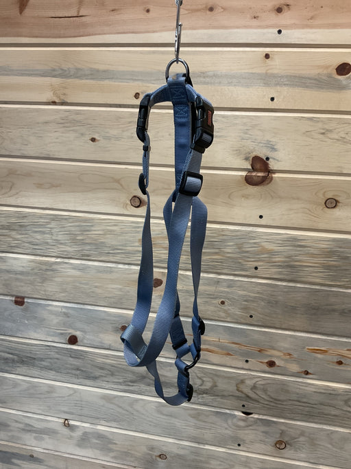 Harness