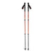 Black Diamond TRAIL BACK TREKKING POLES - Next Adventure