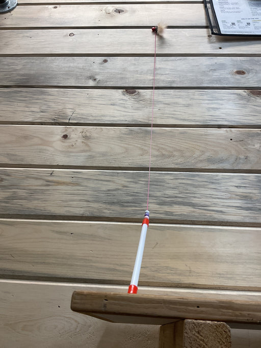 Cat Wand