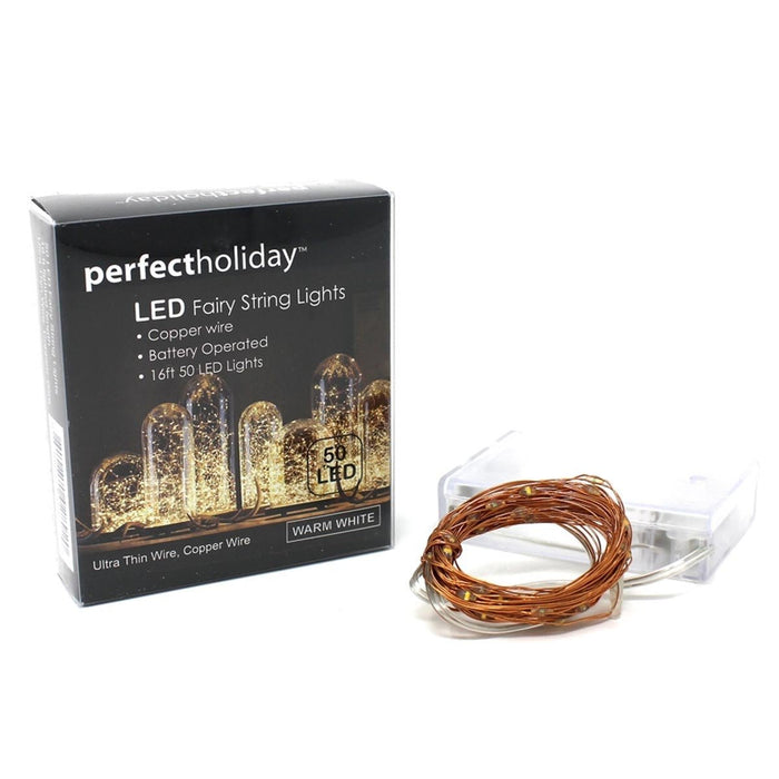 Perfect Holiday 50 LED COPPER STRING LIGHT - Next Adventure