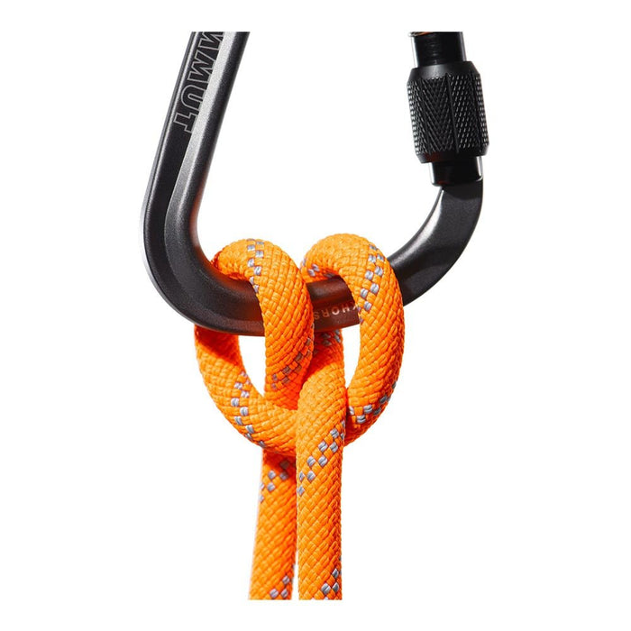 Mammut 9.5 ALPINE DRY CLIMBING ROPE - Next Adventure