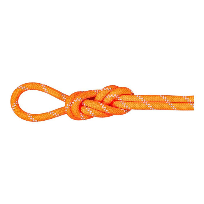 Mammut 9.5 ALPINE DRY CLIMBING ROPE - Next Adventure