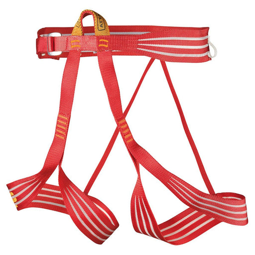 CAMP ALP RACING HARNESS - Next Adventure