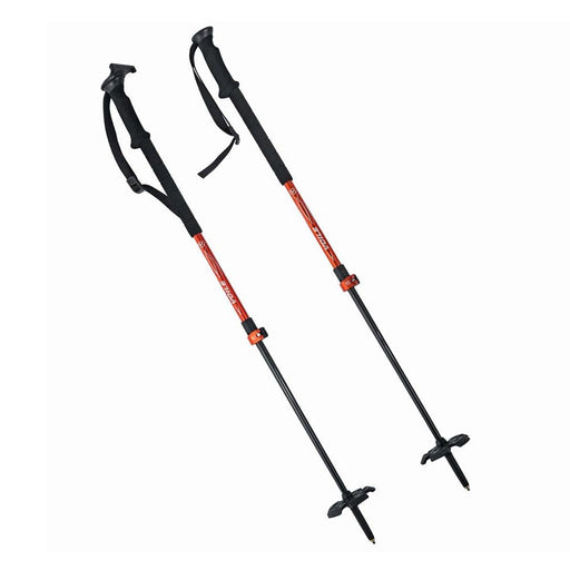 Voile CAMLOCK 2 CARBON SKI POLES - Next Adventure