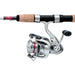 Daiwa CROSSFIRE LT SPINNING COMBO - Next Adventure