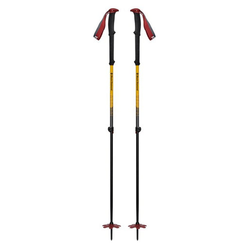 Black Diamond EXPEDITION JC SKI POLES - Next Adventure