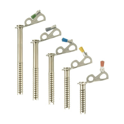 Black Diamond EXPRESS ICE SCREW - Next Adventure