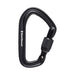 Black Diamond HOTFORGE SCREWGATE CARABINER - Next Adventure