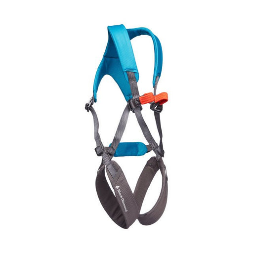 Black Diamond MOMENTUM HARNESS FL BOD - KIDS' - Next Adventure