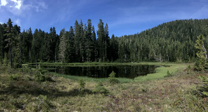 Trip Report: Olympic National Park | Nextadventure | Next Adventure