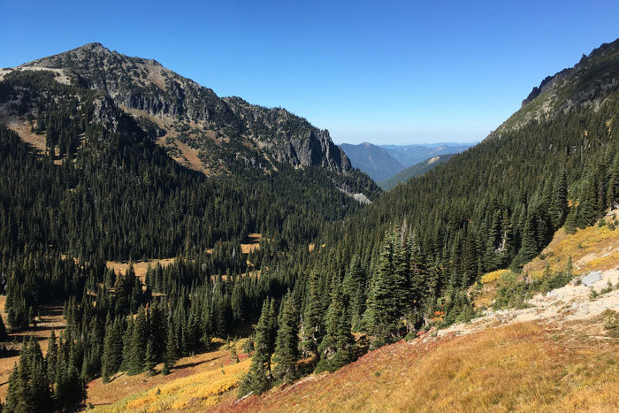 Trip Report: Backpacking The Northern Loop Trail, Mt. Rainier National ...