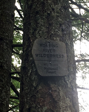 Roaring River Wilderness: Dry Ridge Trail #518